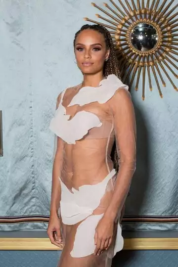 Dans une robe entièrement transparente, l'ancienne Miss France Alicia Aylies en montre un peu trop...