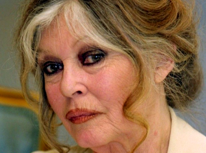 "J'ai perdu une amie et la face" : Brigitte Bardot en conflit avec la défunte Romy Schneider, ses confidences inédites sur les photos volées qui ont mis le feu aux poudres !